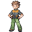 Treinador Pokémon